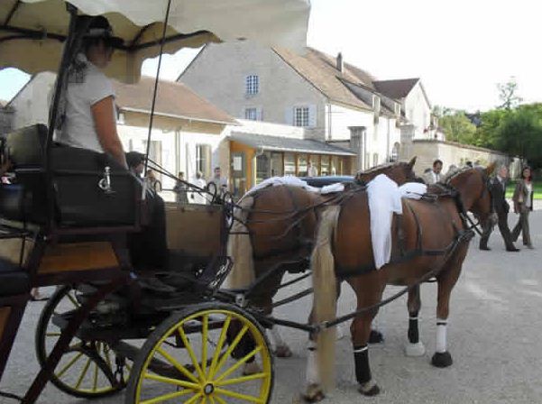 "Location de voiture de prestige pour un événement inoubliable"